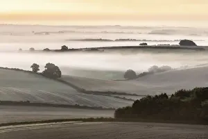 Layers Prints: Arable fields near Dorchester on a misty late summer morning
