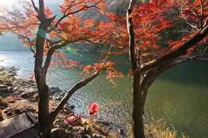 Images Dated 27th November 2018: Arashiyama, Kyoto, Kyoto prefecture, Kansai region, Japan. Woman with red umbrella