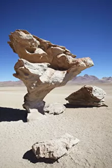 Images Dated 14th November 2012: Arbol de Piedra (Stone Tree) in Altiplano, Potosi Department, Bolivia