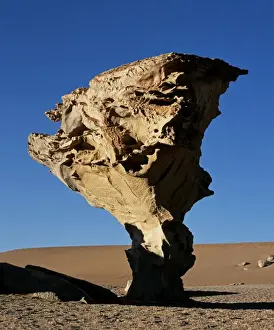 Boulder Prints: Arbol de Piedra or Stone Tree is a massive wind-eroded boulder