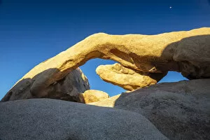 Desert Landscape Collection: Arch rock, Joshua Tree National Park, California, USA