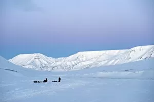 Arctic, Norway, Spitsbergen. Dog sledding near Longyearbyen