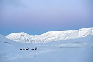 Sled Prints: Arctic, Norway, Spitsbergen. Dog sledding near Longyearbyen