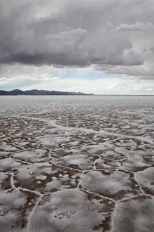Salt Pan Prints: Argentina, Jujuy Province, Salinas Grande salt pan, elevation 3350 meters, 525 sq kms