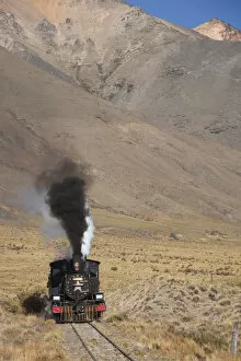Argentina, Patagonia, Chubut Province, Esquel, La Trochita narrow guage steam train
