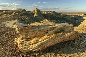 Argentina, Patagonia, Sarmiento, Bosque Petrificado, desert landscape