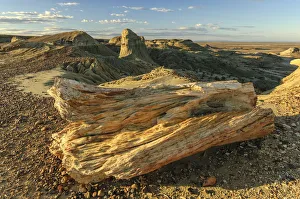 Argentina, Patagonia, Sarmiento, Bosque Petrificado, desert landscape Argentina, Patagonia, Sarmiento, Bosque Petrificado, desert landscape