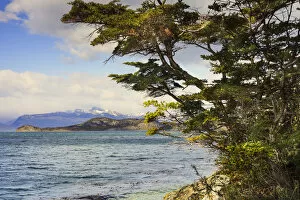 Images Dated 3rd May 2017: Argentina, Patagonia, Ushuaia. Tierra del Fuego, Tierra del Fuego National Park