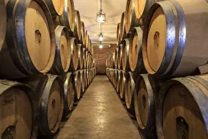Wineries Prints: Argentina, Salta, Cafayate, Bodega San Pedro de Yacoyuya, Torrontes Grape Wineries