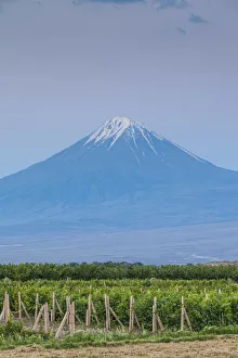 Khor Virap Prints: Armenia, Khor Virap, view of Little Mt. Ararat