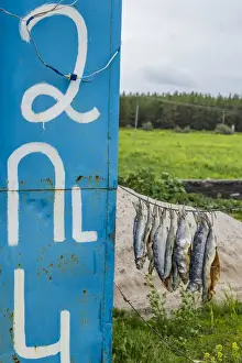 Armenia, Lake Sevan, Sevan, fish shacks selling smoked fish