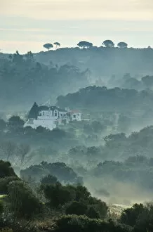 Images Dated 8th March 2012: Arrabida Natural Park in the mist. Palmela, Portugal