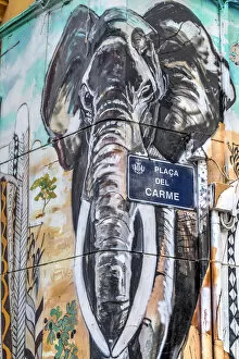 Art graffiti, El Carmen neighborhood, Valencia, Comunidad Valenciana, Spain