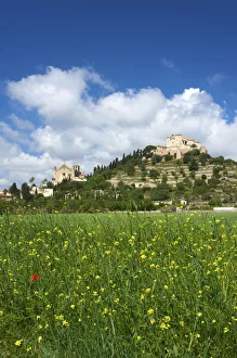 Images Dated 8th February 2012: Arta, Majorca, Balearic Islands, Spain