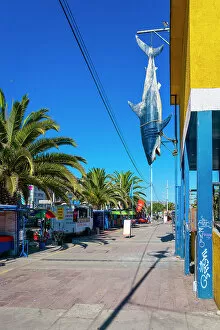 Stall Gallery: Artificial shark hanging from restaurant on sunny day, Caleta Portales, Valparaiso
