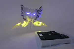 Creativity Prints: Artistic ice sculptures in shape of an alien face in a hotel suite