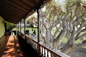 Volcanic Islands Prints: Arucas Culture House. Traditional house from the 17th century