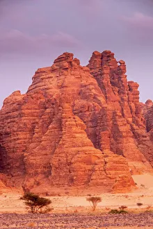 Ashar Valley Prints: Ashar Valley, Al-Ula, Medina Province, Saudi Arabia