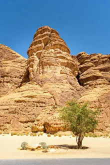 Acacia Tree Prints: Ashar Valley, Al-Ula, Medina Province, Saudi Arabia