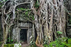 Cambodia Prints: Asia, Cambodia, Siem Reap, Angkor
