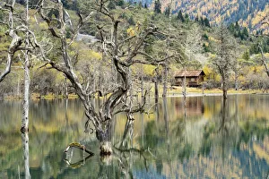 Asia, China, Sichuan Province, Shuangqiao Valley, Xiaojin County