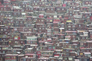 Tibet Prints: Asia, China, Sichuan, West Sichuan, Seda, Larung Gar, Buddhist College