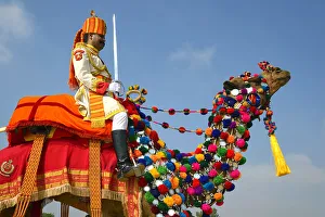 Ethnic Gallery: Asia, India, Rajasthan, Jaisalmer, desert festival