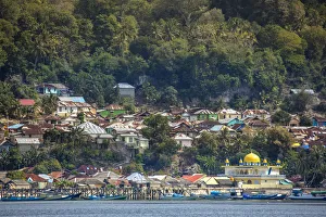 Asia, Indonesia, Spice Islands, Maluku, Banda, Rhun island showing the islandA¢€