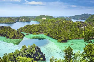 High Prints: Asia, Indonesia, Spice Islands, West Papua, Raja Ampat islands