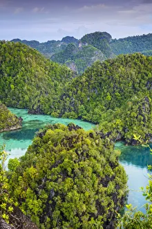 High Prints: Asia, Indonesia, Spice Islands, West Papua, Raja Ampat islands