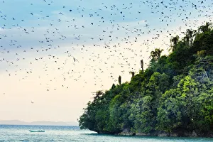 Raja Ampat Regency Prints: Asia, Indonesia, Spice Islands, West Papua, Raja Ampat islands, Pulau Mioskon
