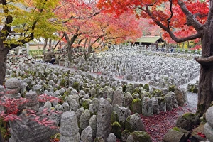 Asia, Japan. Kyoto, Sagano, Arashiyama, Adashino Nenbutsu dera temple, stone lanterns