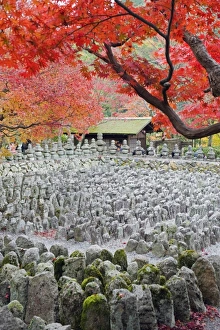 Asia, Japan. Kyoto, Sagano, Arashiyama, Adashino Nenbutsu dera temple, stone lanterns
