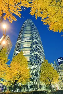 Illumination Prints: Asia, Japan, Tokyo, Shinjuku, Tokyo Mode Gakuen Cocoon Tower, Design School building