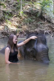 Asia, South East Asia, Cambodia, Mondulkiri, Elephant Sanctuary, woman volunteer