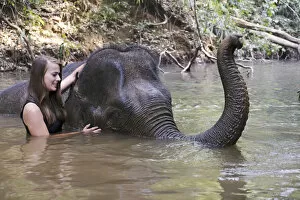 Images Dated 11th May 2017: Asia, South East Asia, Cambodia, Mondulkiri, Elephant Sanctuary, woman volunteer