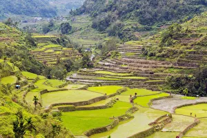 Asia, South East Asia, Philippines, Luzon, Hapao