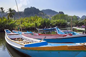 Asia, Southeast Asia, Indonesia, Sulawesi, Celebes, Maros Pangkep Karst region, Rammang