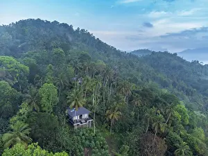 Candy Prints: Asia, Sri Lanka, Kandy, Aarunya Nature Resort & Spa; luxury bungalows in the forest with mist rising from the moutains