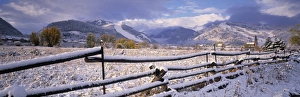 Aspen Prints: Aspen, Colorado