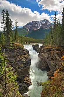 Images Dated 3rd May 2023: Athabasca Falls, Jasper National Park, Alberta, Canada