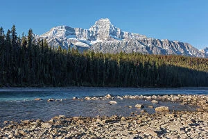 Images Dated 4th May 2023: Athabasca River and the Canadian Rocky Mountains along the Icefields Parkway