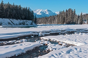 Winter Seasons Prints: Athabasca River on the Icefields Parkway. Jasper National Park, Alberta C, anada