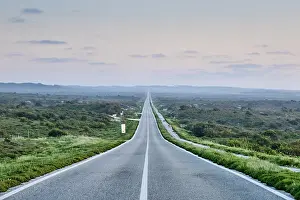 Empty Prints: Atlantic Road to the Mata Nacional de Leiria (Leiria's National Forests). Portugal