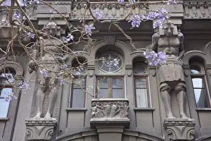 Jacaranda Mimosifolia Prints: Atlases'over the main facade of the Otto Wulff buiding with a Jacaranda flowering plant in foreground