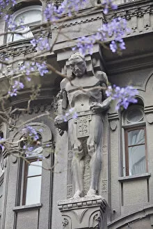 Images Dated 10th January 2022: One of the 'Atlas'over the main facade of the Otto Wulff buiding with a Jacaranda flowering plant in