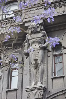 Jacaranda Mimosifolia Prints: One of the Atlas'over the main facade of the Otto Wulff buiding with a Jacaranda flowering plant in foreground