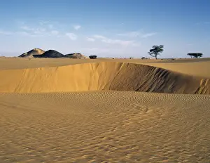 Desertification Prints: Attractive desert scenery in the Bayuda Desert of northeast Sudan