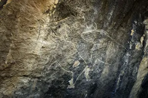 Deserted Collection: Aurochs. Gobustan Rock Art Cultural Landscape Reserve has an outstanding collection