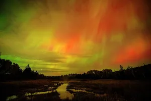 Night Sky Prints: Aurora and autumn wetland, Greater Sudbury, Ontario, Canada